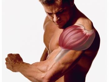 Упражнения для дельтовидных мышц